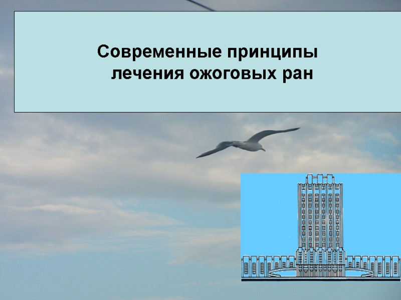 Благодарю за внимание Современные принципы   лечения ожоговых ран